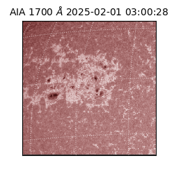 saia - 2025-02-01T03:00:28.717000