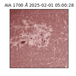 saia - 2025-02-01T05:00:28.717000