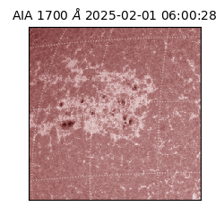 saia - 2025-02-01T06:00:28.717000