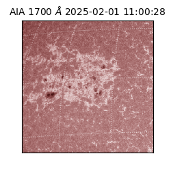 saia - 2025-02-01T11:00:28.721000