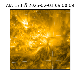 saia - 2025-02-01T09:00:09.350000