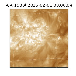 saia - 2025-02-01T03:00:04.843000