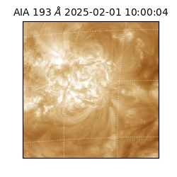 saia - 2025-02-01T10:00:04.843000