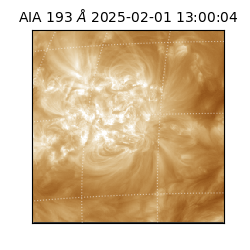 saia - 2025-02-01T13:00:04.843000