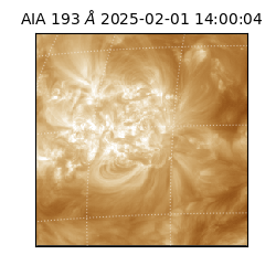 saia - 2025-02-01T14:00:04.843000