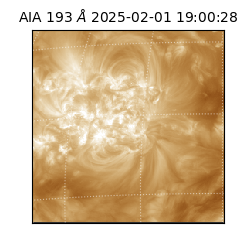 saia - 2025-02-01T19:00:28.843000