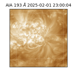 saia - 2025-02-01T23:00:04.843000