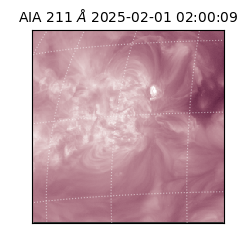 saia - 2025-02-01T02:00:09.630000