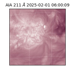 saia - 2025-02-01T06:00:09.630000