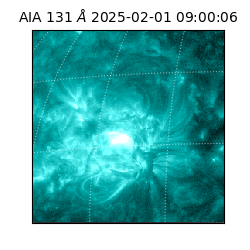 saia - 2025-02-01T09:00:06.622000