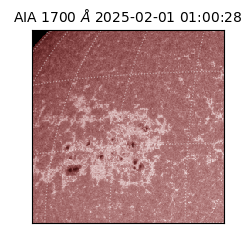 saia - 2025-02-01T01:00:28.717000