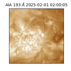 saia - 2025-02-01T02:00:05.456000