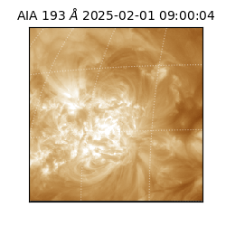 saia - 2025-02-01T09:00:04.843000