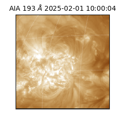 saia - 2025-02-01T10:00:04.843000