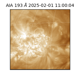 saia - 2025-02-01T11:00:04.843000