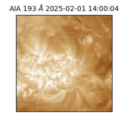 saia - 2025-02-01T14:00:04.843000