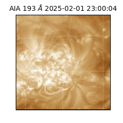 saia - 2025-02-01T23:00:04.843000