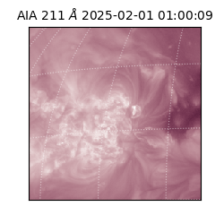 saia - 2025-02-01T01:00:09.629000