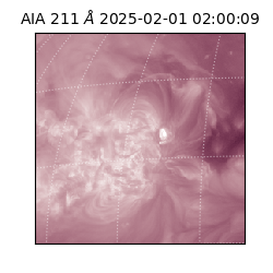 saia - 2025-02-01T02:00:09.630000