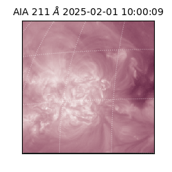 saia - 2025-02-01T10:00:09.630000