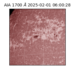 saia - 2025-02-01T06:00:28.717000