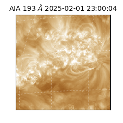 saia - 2025-02-01T23:00:04.843000