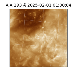 saia - 2025-02-01T01:00:04.843000