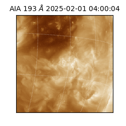 saia - 2025-02-01T04:00:04.843000