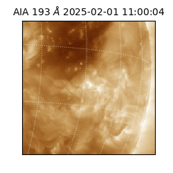 saia - 2025-02-01T11:00:04.843000