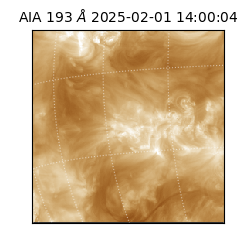 saia - 2025-02-01T14:00:04.843000