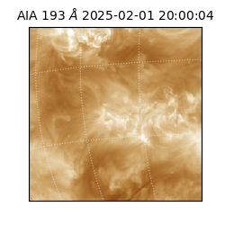 saia - 2025-02-01T20:00:04.843000