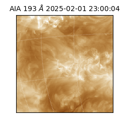 saia - 2025-02-01T23:00:04.843000