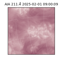 saia - 2025-02-01T09:00:09.626000