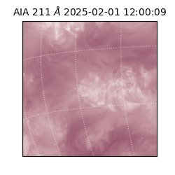 saia - 2025-02-01T12:00:09.626000