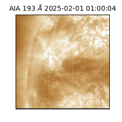 saia - 2025-02-01T01:00:04.843000