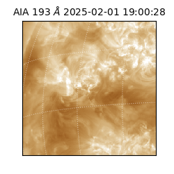 saia - 2025-02-01T19:00:28.843000