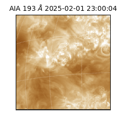 saia - 2025-02-01T23:00:04.843000