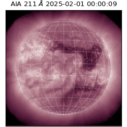 saia - 2025-02-01T00:00:09.626000