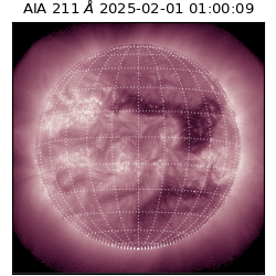 saia - 2025-02-01T01:00:09.629000