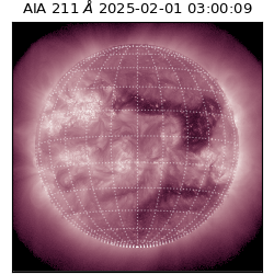 saia - 2025-02-01T03:00:09.626000