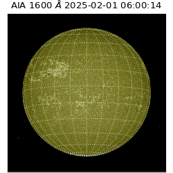 saia - 2025-02-01T06:00:14.130000