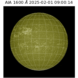 saia - 2025-02-01T09:00:14.126000