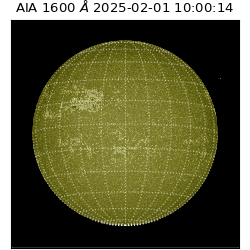 saia - 2025-02-01T10:00:14.129000