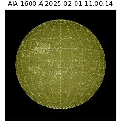 saia - 2025-02-01T11:00:14.126000