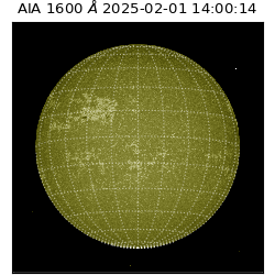 saia - 2025-02-01T14:00:14.126000