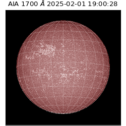 saia - 2025-02-01T19:00:28.721000