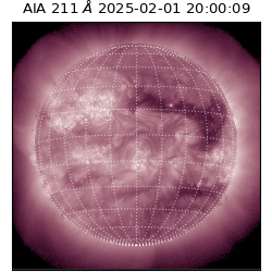 saia - 2025-02-01T20:00:09.626000