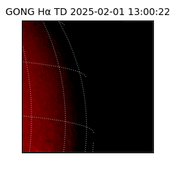 gong - 2025-02-01T13:00:22