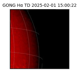 gong - 2025-02-01T15:00:22