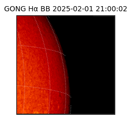 gong - 2025-02-01T21:00:02